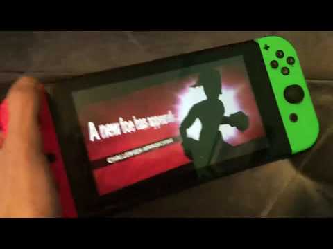 The super secret smash ultimate character.