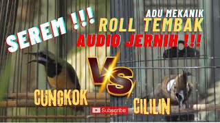 Download lagu MASTERAN CUCAK CUNGKOK CILILIN ROLL TEMBAK SEREM !!! JEDA AUDIO JERNIH !!! FULL TEMBAKAN BERBAHAYA ! mp3