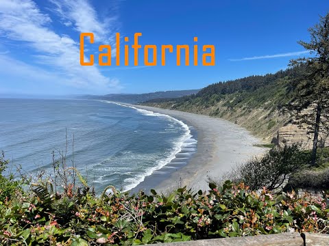 Arcata, California: Hidden Gem on the Redwood Coast