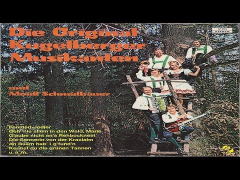 WIRF A STEINDERL AUFS DACH - ORIGINAL KUGELBERGER MUSIKANTEN, DUO MOIDL SCHMIDBAUER-FRANZ GRUNDNER