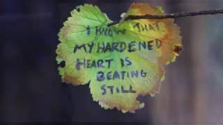 TOM CHAPLIN - HARDENED HEART-  Lyrics and Pictures