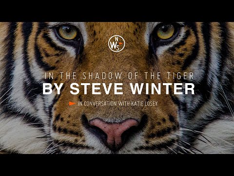 Big Cats Up Close: Steve Winter & Sharon Guynup on Tiger Photography Safari