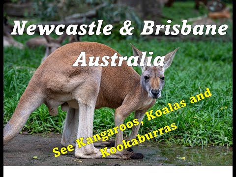 Thumbnail for Discover The Best Of Newcastle And Brisbane Australia On The Ultimate World Cruise