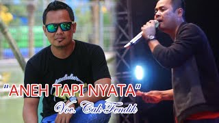 Download lagu 'ANEH TAPI NYATA' Voc. CAK FENDIK mp3