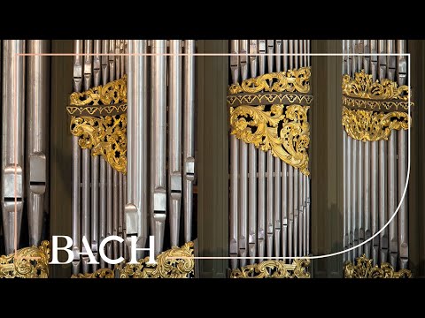 Bach - Durch Adams Fall ist ganz verderbt BWV 637 - Van Doeselaar | Netherlands Bach Society