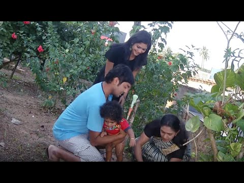 Pattusaree I Episode 369 – Part 2 I Mazhavil Manorama