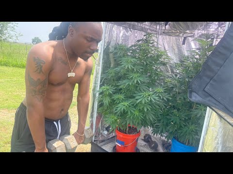 FOOL WIT ME (Visualizer) [prod by tooohardy]