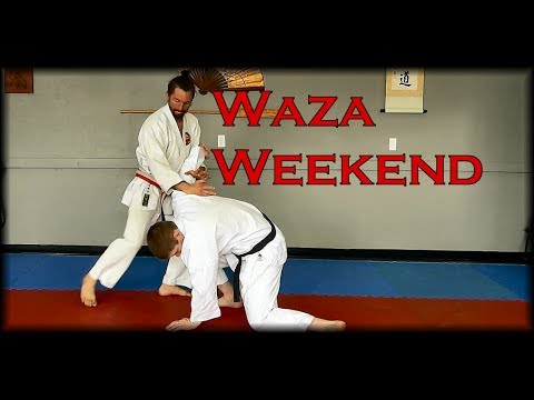 Waza Weekend Seminar Announcement - Mires Martial Arts 2017