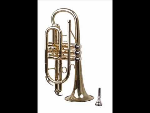 My Eagletone Cornet (Blue Monk)