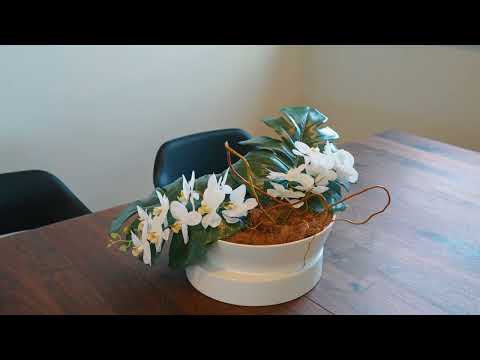 243 Kepa Road, Mission Bay