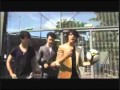 Jonas Brothers Baby Bottle Pop