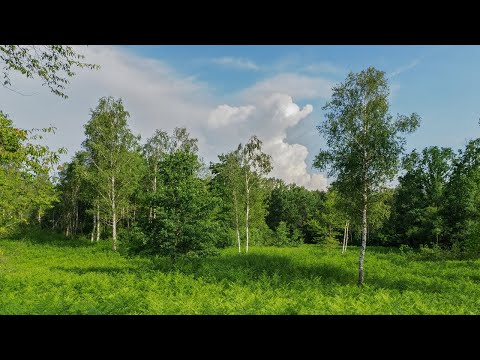 Nature of Bela krajina - Misterion