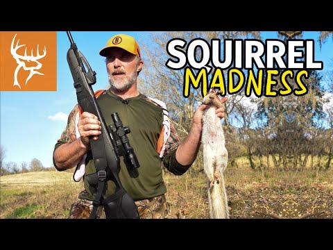Battle of the AIRGUNS | Squirrel Master Classic '22 | Buck Commander