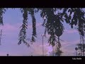 Aesthetic Video