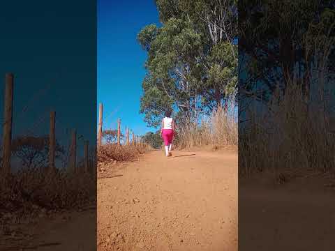 Caminhada sertaneja Comunidade Santa Rita município Vianópolis Goiás Brasil