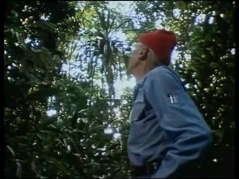 (22) La Collection COUSTEAU - Bornéo, le spectre de la tortue (1989)