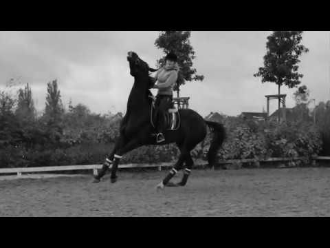 It´s not gonna be easy. It´s gonna be really hard [NEW HORSE]