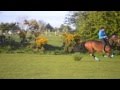Full speed gallop bareback