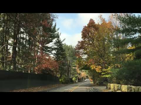 осень - 1 ноября - Grove Street, Needham, MA