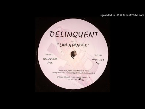 Paleface feat. Nina Jayne - Like a Feather (Delinquent Remix) [re-up] *4x4 / UKG*
