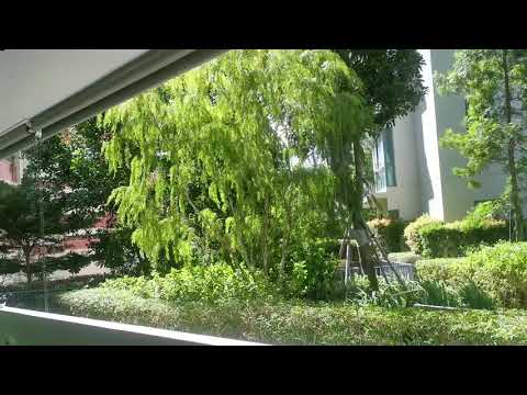 Thomson Three, 45 Bright Hill Drive, 3 Bedrooms, 1,098 sqft, Condominium For Sale, by Nicole Tan, 23019765 - PropertyGuru.com.sg