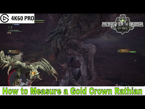 Monster Hunter: World - How to Measure a Gold Crown Rathian Video