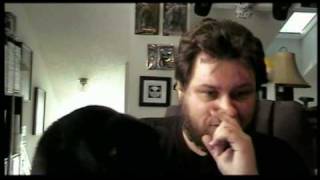 The Pet Tag - Tagged by waspspray