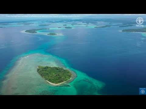 Innovation in the Small Island Developing States (SIDS)