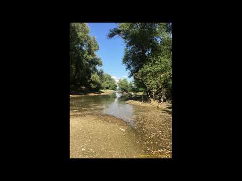 Papp Zongoraiskola II. - 67