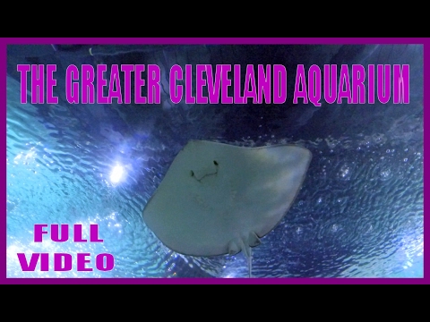 image-How long does it take to go through the Greater Cleveland Aquarium?