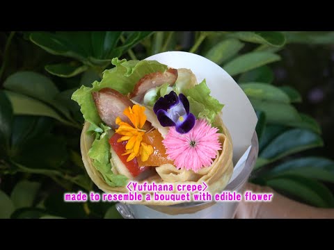 Who is Yufuin's Founding God? ; Oita, Japan - The capital of charming Onsen