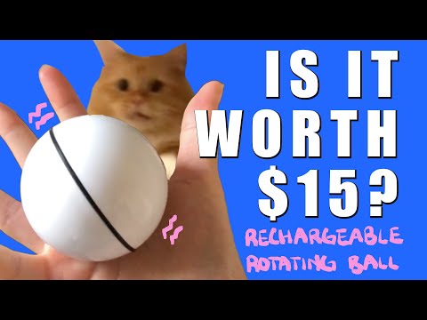 Self-Rotating Ball | CAT TOY REVIEW | Is it worth $15???