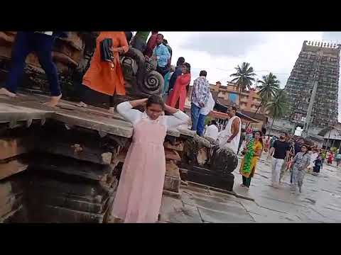 Sacred Elephant Videos Temple Videos