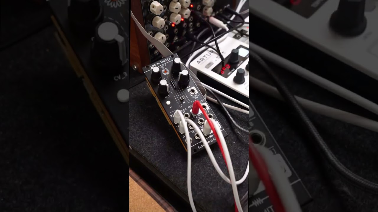 Here's a demo of my Pluck patch from my Patch.Init() Collection. #synthdiy #eurorack #synthesizer