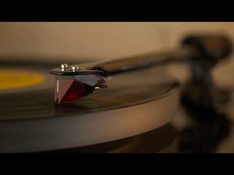 Михайло ГРИЦКАН - Павутина  [ ПРЕМ'ЄРА ]