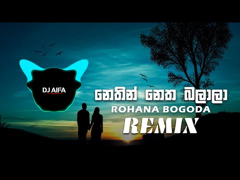 Nethin Netha Balala - Remix (DJ AIFA)