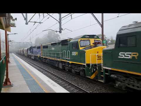 Quad C - Short Scene