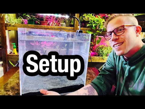 How to Set Up a Fish Aquarium at Home - Beginners Guide