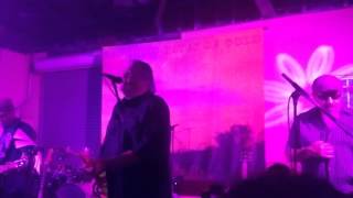 Los Lobos-Gates of Gold(Record Release Show)