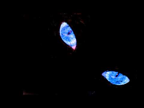 ★Balkan Beat Box★ Hermetico~ ~►lyrics