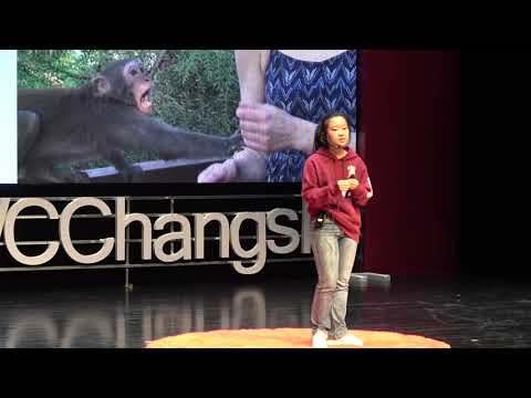 Educação Artística: Valorização da Beleza | Tongtong Yang | TEDxUWCChangshu