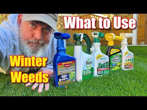 image-What kills weeds permanently 2021?