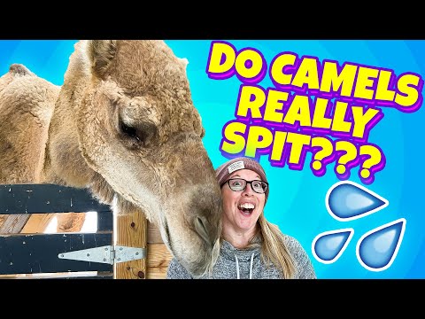 Witness21  2022 07 08