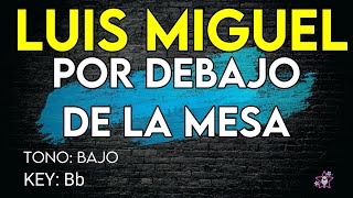 Luis Miguel - Por Debajo De La Mesa - Karaoke Instrumental - Bajo