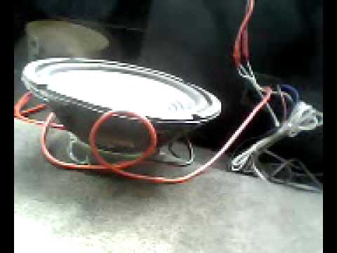 my little woofer.3gp