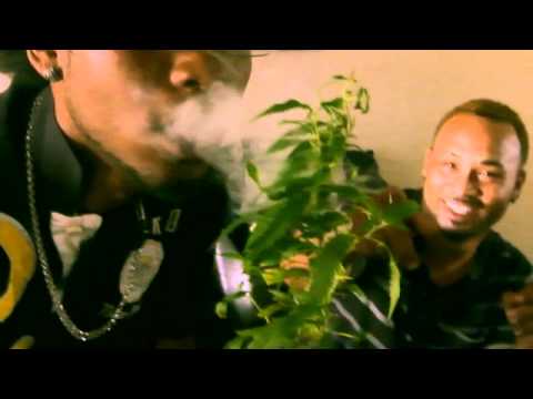 Puff Puff lsq terro sawge sense