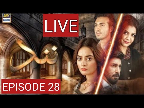 🔴Live!Nand Episode 28 Ary Digital