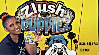 ZLUSH PUPPIEZ by LA TRAFFIC & BACKPACKBOYZ 33.181% thc exotic weed strain review