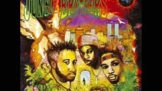 Jungle Brothers - Done By The Forces Of Nature