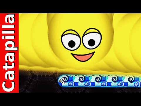 Wormate.io Gameplay Tiny Worm Trapping Fastest Worms Wormateio Highscore
